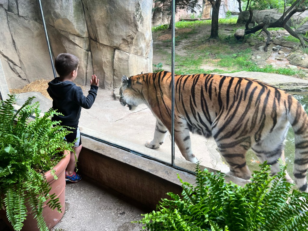 Exploring the Top-Rated Columbus Zoo &&nbsp;Aquarium